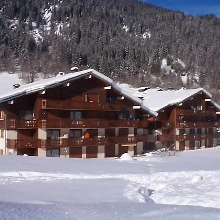 Cosy 2 Pieces, Balcon Et Parking, - Fr-1-198-113 Châtel
